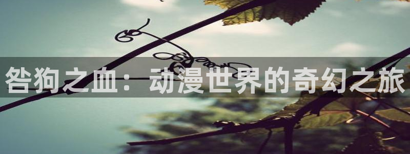 行业资讯